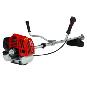 BC4-SP